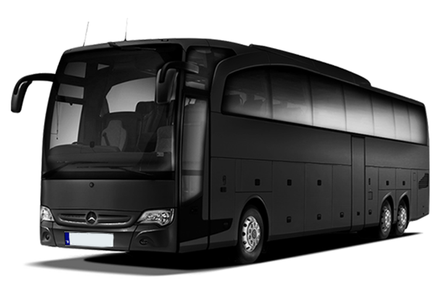 VIP TRANSFER